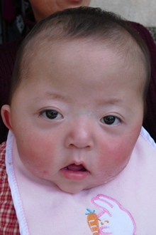 1512807655871522.png ling yuan hong-2013-3.png