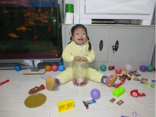 1517369992854223.png 吉林市家庭寄养项目发展简况-2017384.png