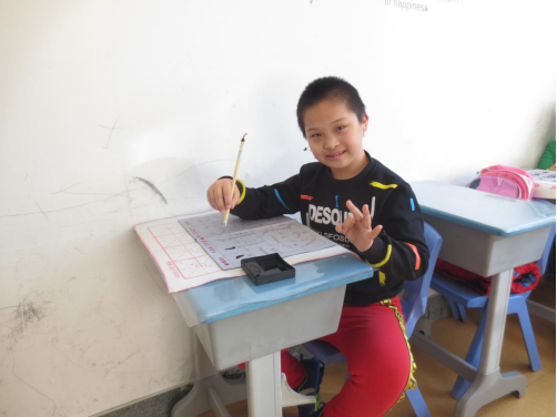 1517370040696942.png 吉林市家庭寄养项目发展简况-2017687.png