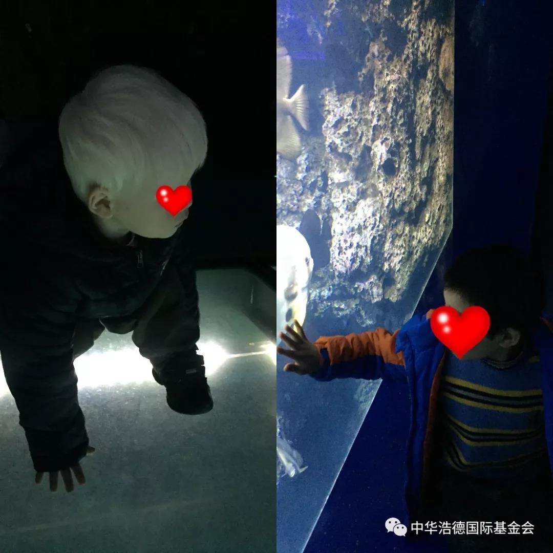 1552539391326740.jpg 微信图片_20190314125350.jpg