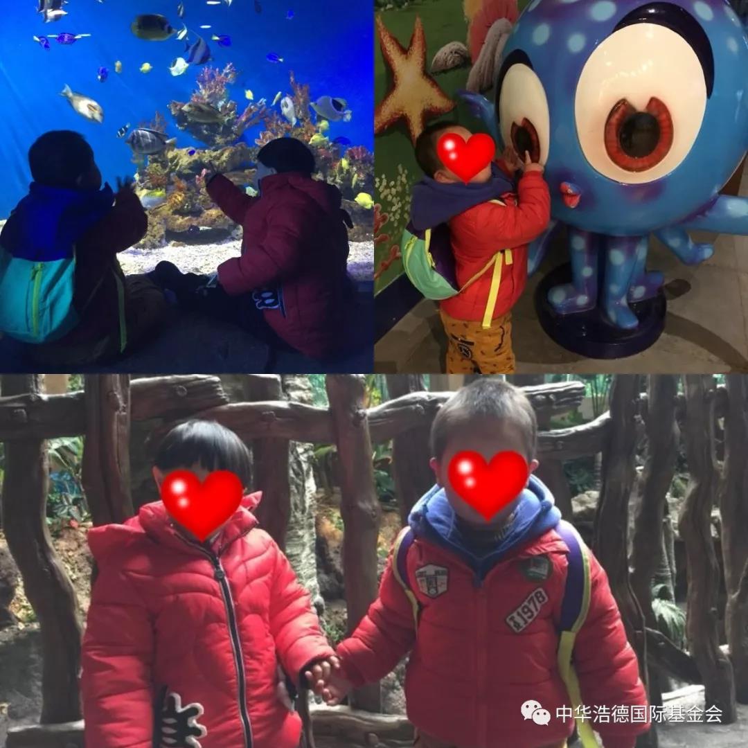 1552539419756025.jpg 微信图片_20190314125358.jpg