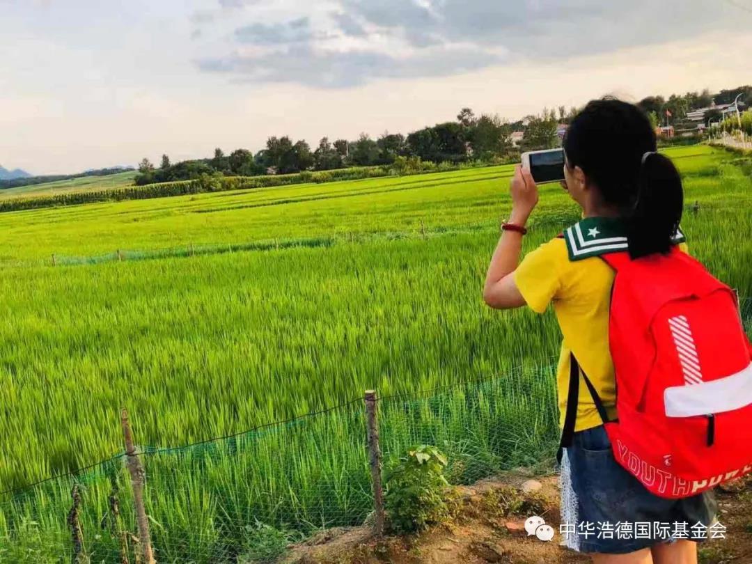 1565057940131901.jpg 微信图片_20190806101838.jpg