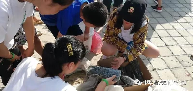 1565058032130244.jpg 微信图片_20190806102024.jpg