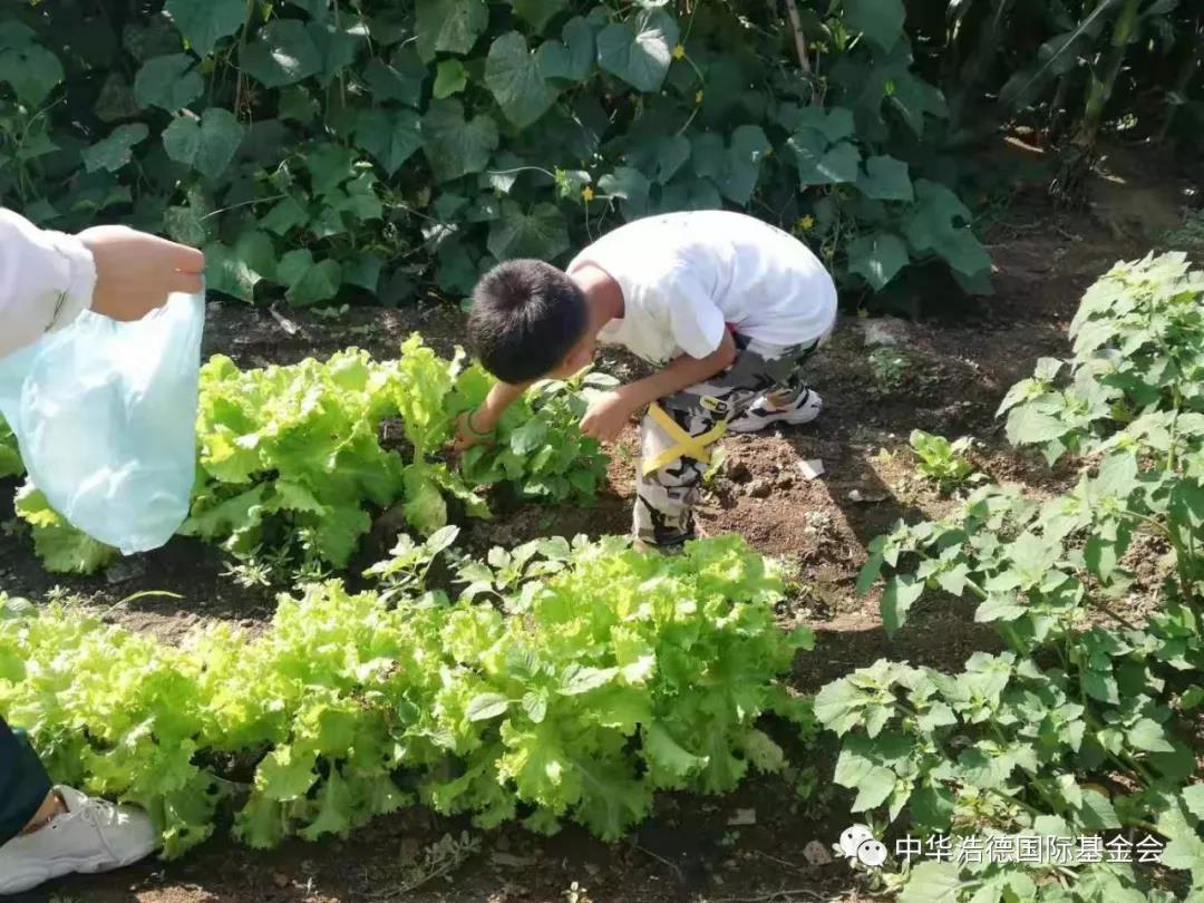 1565058061138919.jpg 微信图片_20190806102055.jpg