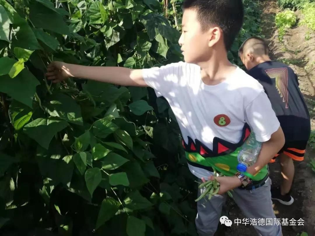 1565058084333281.jpg 微信图片_20190806102114.jpg